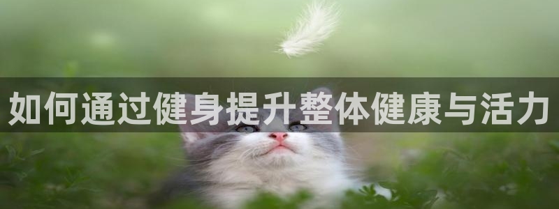 意昂2平台