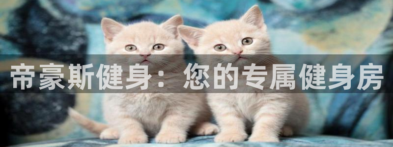 意昂2代理