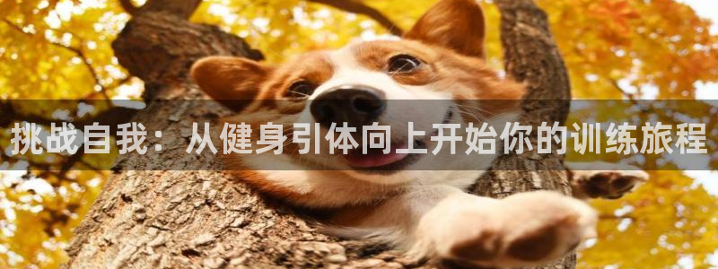 意昂2平台