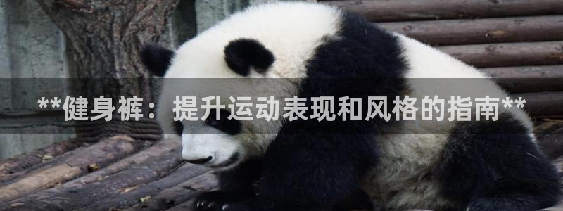 意昂2招商